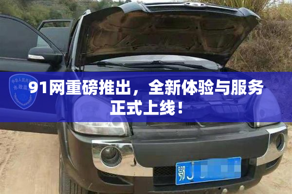 91网重磅推出，全新体验与服务正式上线！