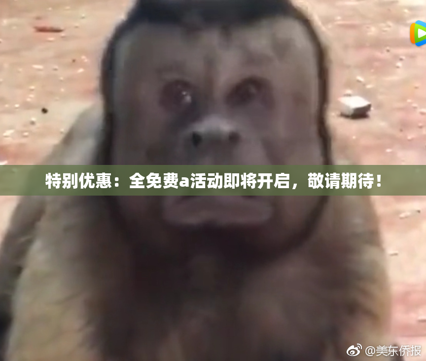 特别优惠：全免费a活动即将开启，敬请期待！