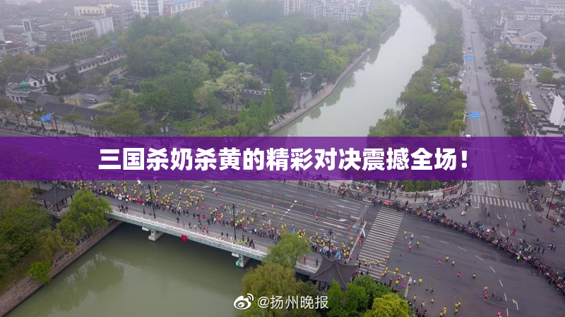 三国杀奶杀黄的精彩对决震撼全场！
