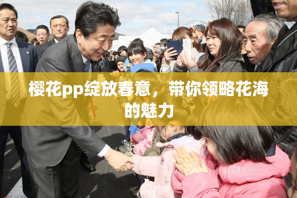 樱花pp绽放春意，带你领略花海的魅力