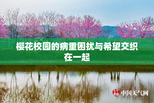 樱花校园的病重困扰与希望交织在一起