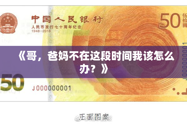 《哥，爸妈不在这段时间我该怎么办？》