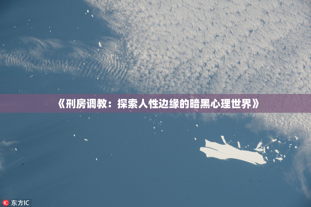 《刑房调教：探索人性边缘的暗黑心理世界》