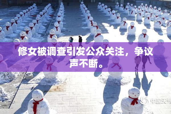 修女被调查引发公众关注，争议声不断。
