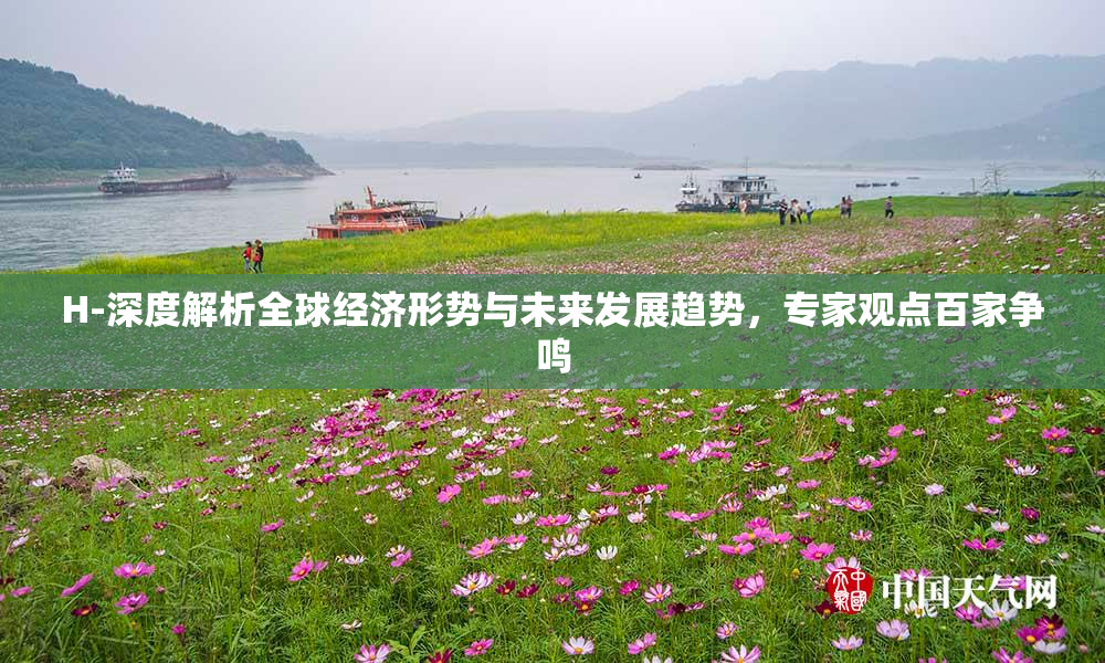 H-深度解析全球经济形势与未来发展趋势，专家观点百家争鸣