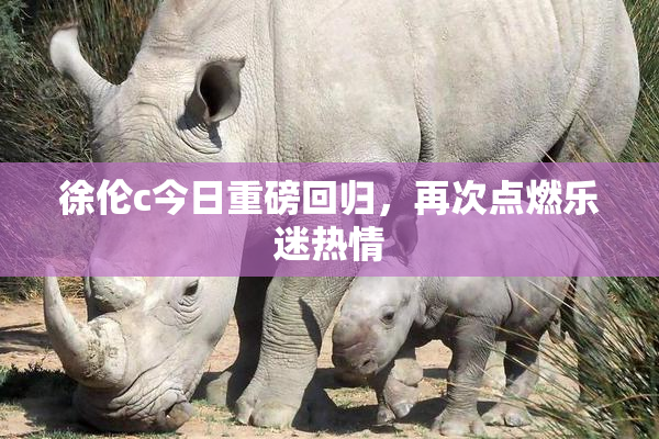 徐伦c今日重磅回归，再次点燃乐迷热情