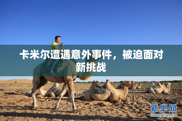 卡米尔遭遇意外事件，被迫面对新挑战