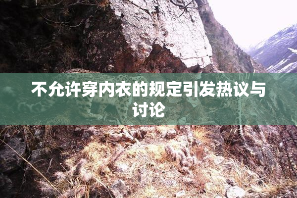 不允许穿内衣的规定引发热议与讨论