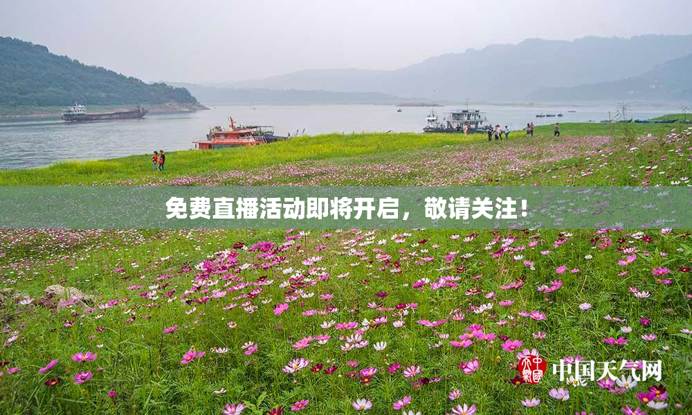 免费直播活动即将开启，敬请关注！