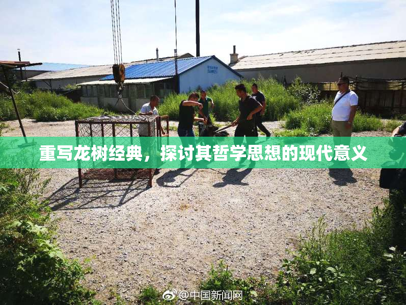 重写龙树经典，探讨其哲学思想的现代意义