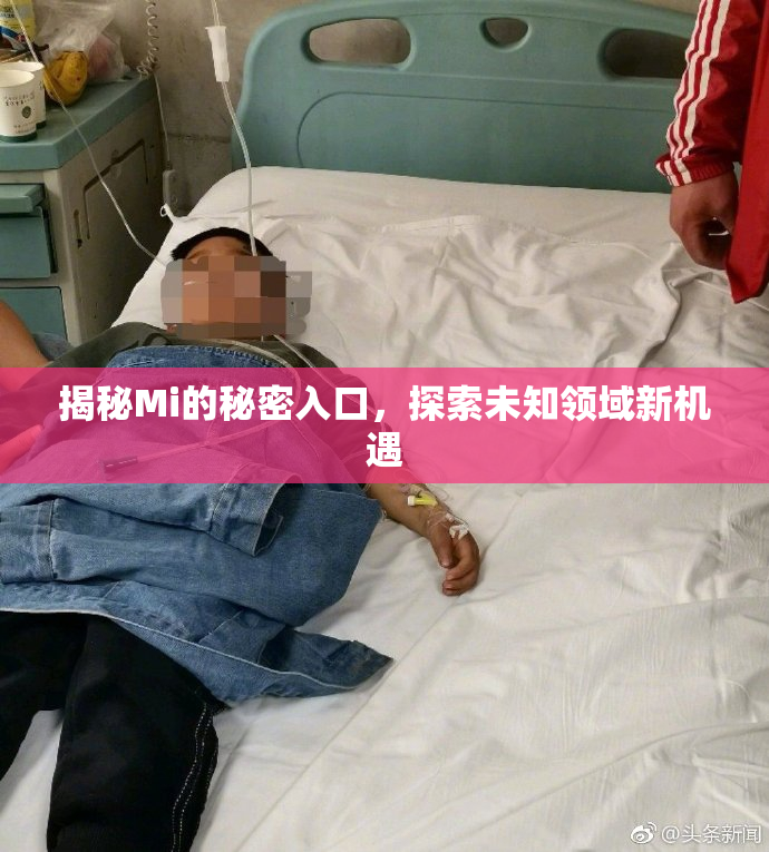 揭秘Mi的秘密入口，探索未知领域新机遇