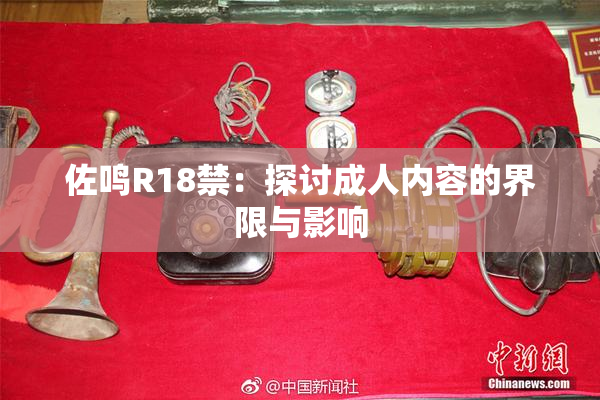 佐鸣R18禁：探讨成人内容的界限与影响