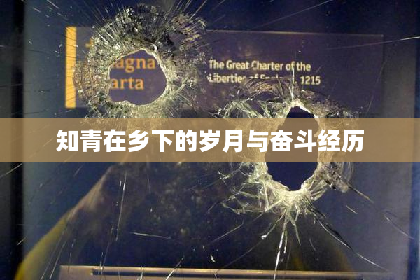 知青在乡下的岁月与奋斗经历