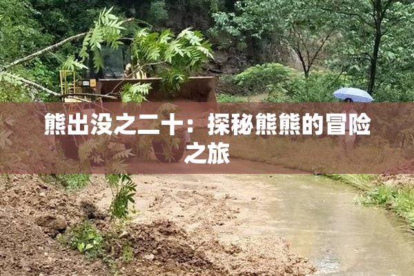 熊出没之二十：探秘熊熊的冒险之旅