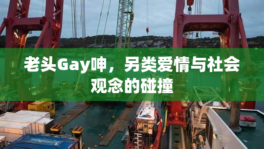 老头Gay呻，另类爱情与社会观念的碰撞