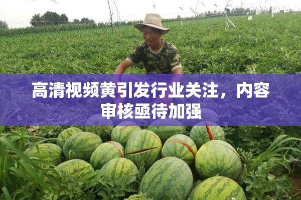 高清视频黄引发行业关注，内容审核亟待加强