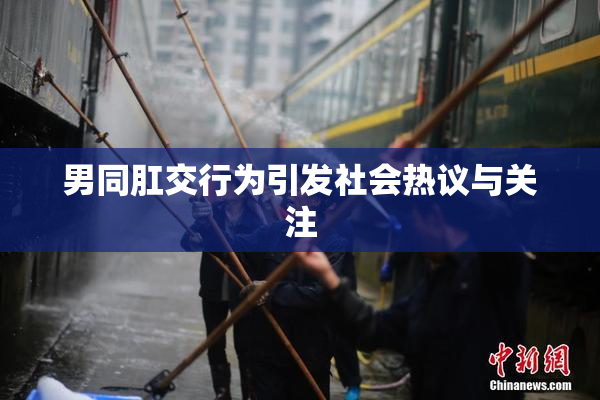 男同肛交行为引发社会热议与关注