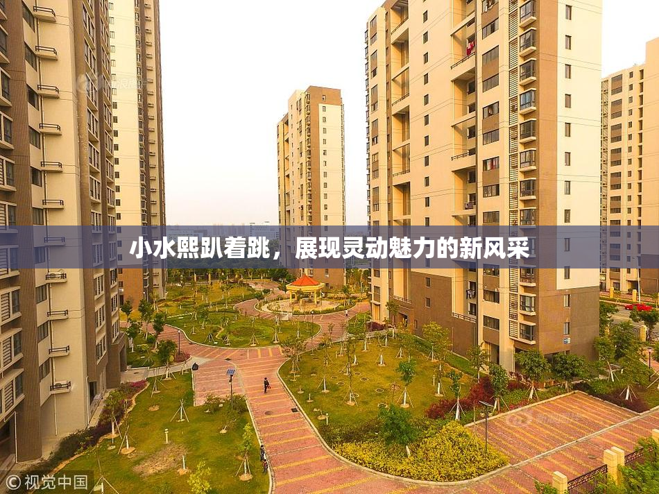 小水熙趴着跳，展现灵动魅力的新风采