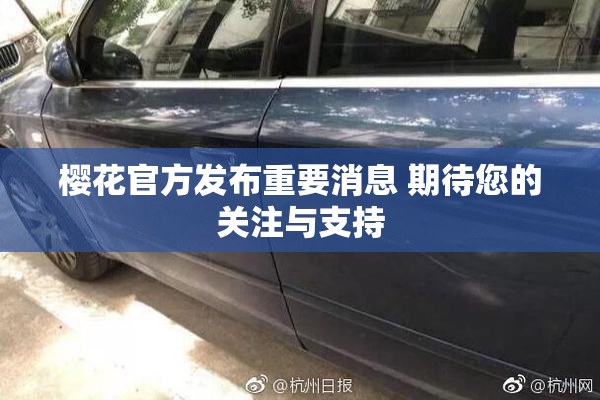樱花官方发布重要消息 期待您的关注与支持