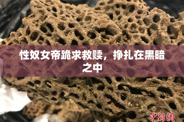 性奴女帝跪求救赎，挣扎在黑暗之中