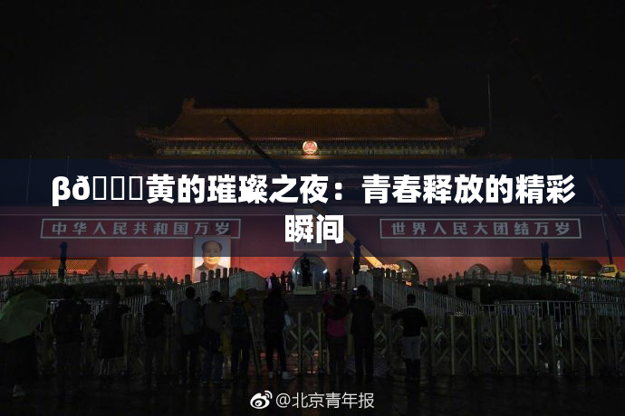 β🔞黄的璀璨之夜：青春释放的精彩瞬间