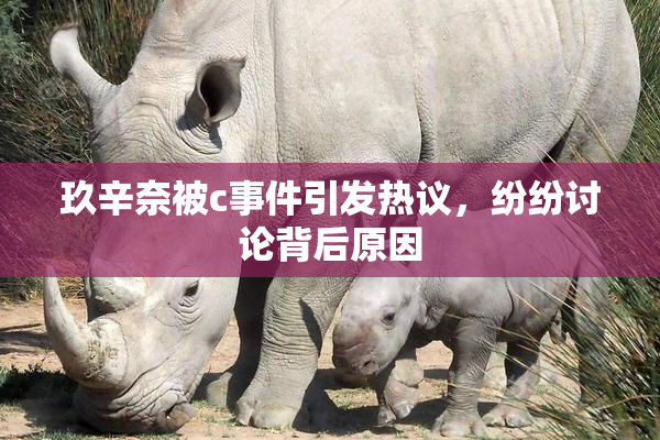 玖辛奈被c事件引发热议，纷纷讨论背后原因