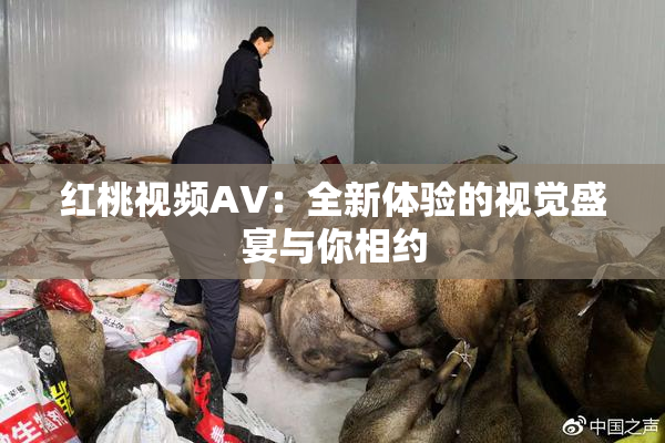 红桃视频AV：全新体验的视觉盛宴与你相约