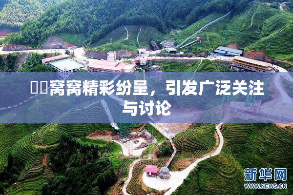 妺妺窝窝精彩纷呈，引发广泛关注与讨论