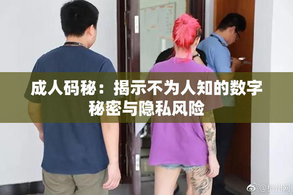 成人码秘：揭示不为人知的数字秘密与隐私风险