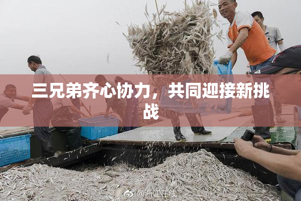 三兄弟齐心协力，共同迎接新挑战