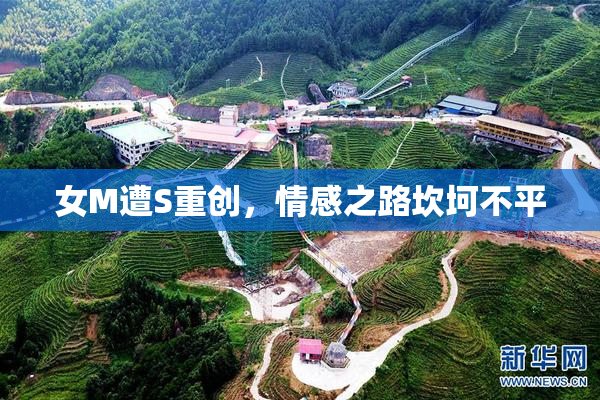女M遭S重创，情感之路坎坷不平