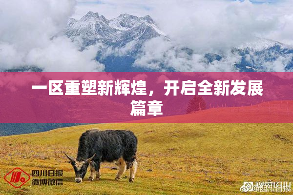 一区重塑新辉煌，开启全新发展篇章