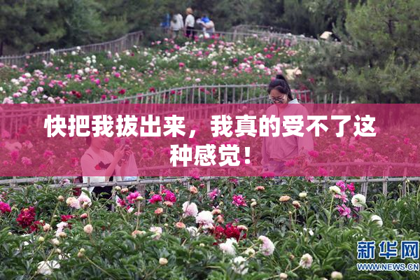 快把我拔出来，我真的受不了这种感觉！