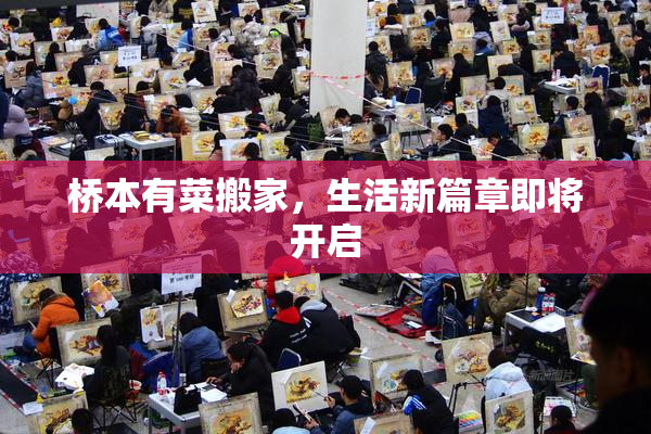 桥本有菜搬家，生活新篇章即将开启