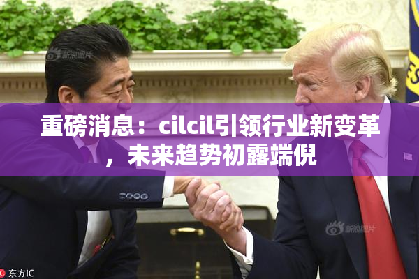 重磅消息：cilcil引领行业新变革，未来趋势初露端倪