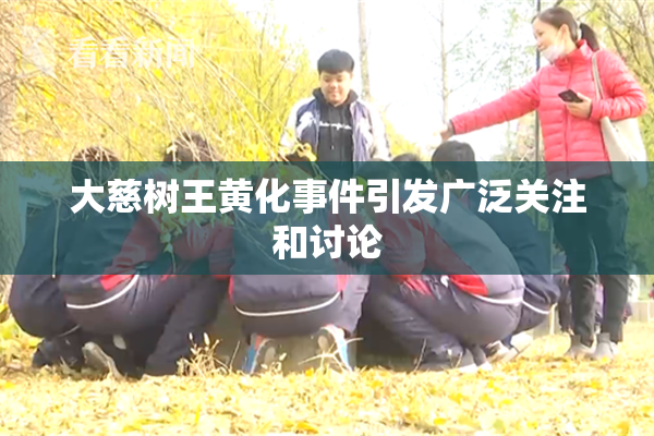 大慈树王黄化事件引发广泛关注和讨论