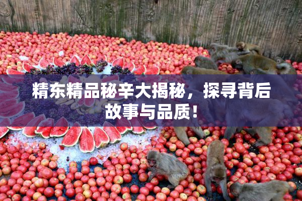 精东精品秘辛大揭秘，探寻背后故事与品质！