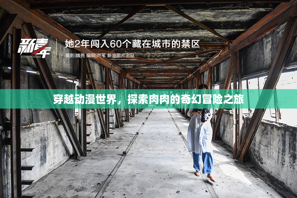穿越动漫世界，探索肉肉的奇幻冒险之旅