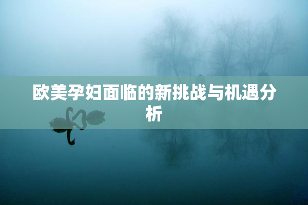 欧美孕妇面临的新挑战与机遇分析