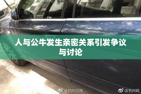 人与公牛发生亲密关系引发争议与讨论