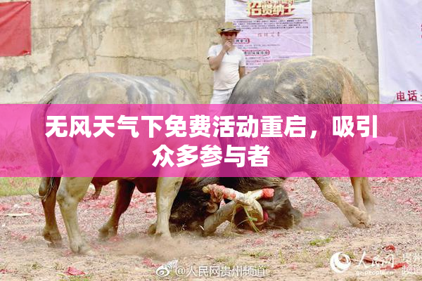 无风天气下免费活动重启，吸引众多参与者