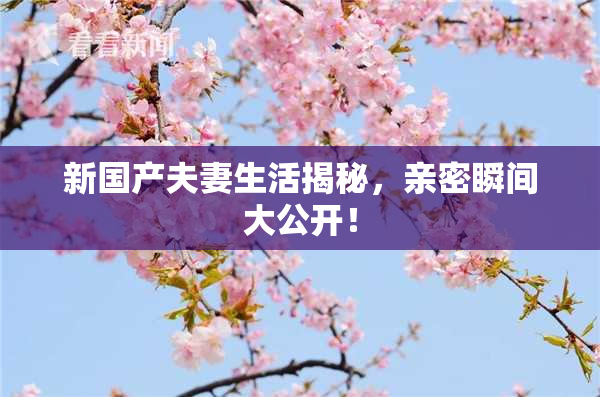 新国产夫妻生活揭秘，亲密瞬间大公开！