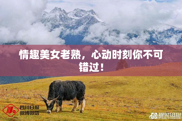 情趣美女老熟，心动时刻你不可错过！