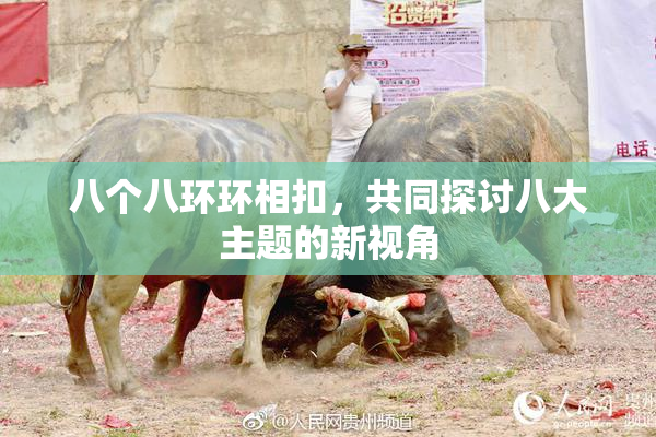 八个八环环相扣，共同探讨八大主题的新视角
