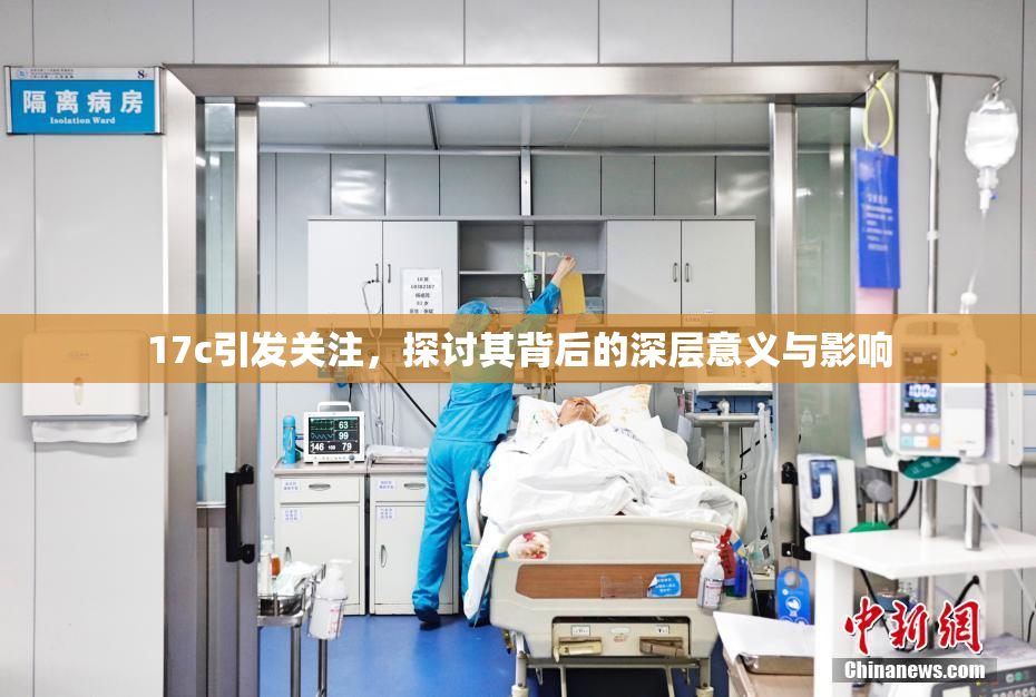 17c引发关注，探讨其背后的深层意义与影响