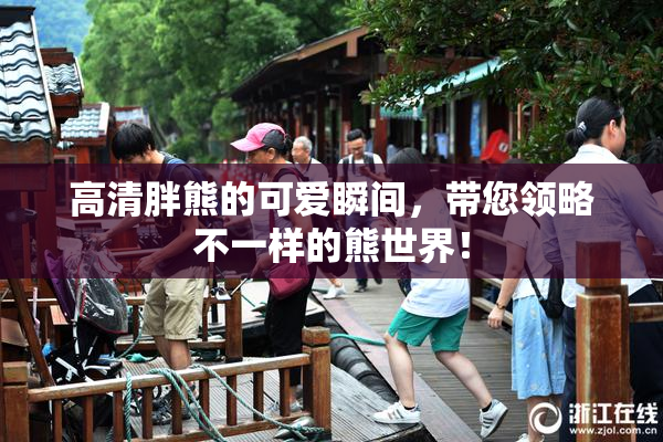 高清胖熊的可爱瞬间，带您领略不一样的熊世界！