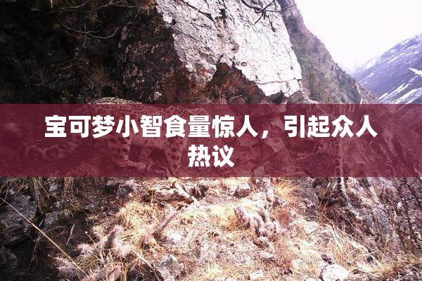 宝可梦小智食量惊人，引起众人热议