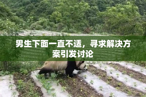 男生下面一直不适，寻求解决方案引发讨论