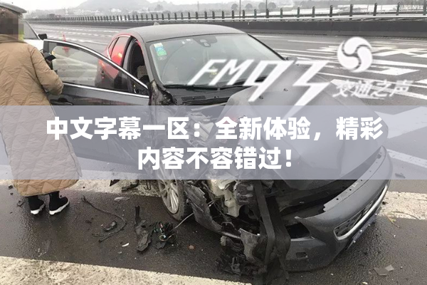 中文字幕一区：全新体验，精彩内容不容错过！