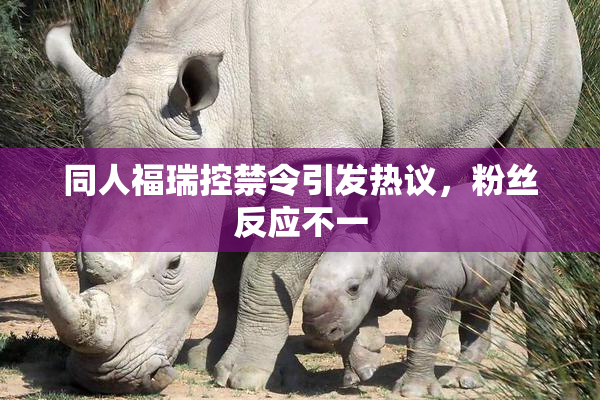 同人福瑞控禁令引发热议，粉丝反应不一